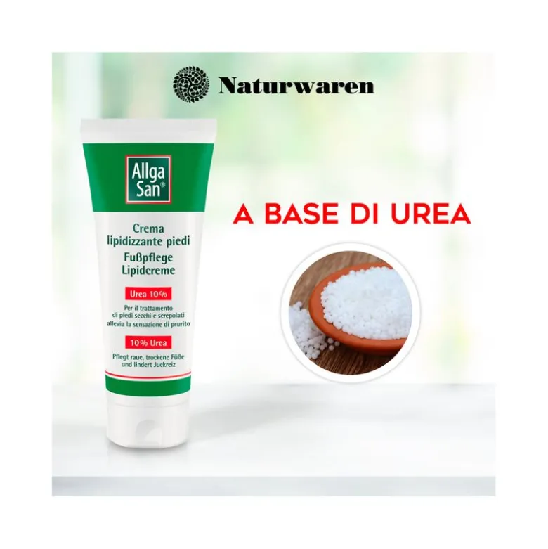 Dr Theiss Allgasan Crema Lipidizzante Piedi 100ml