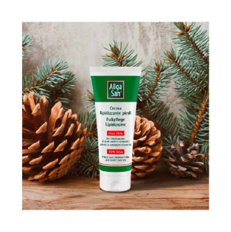Dr Theiss Allgasan Crema Lipidizzante Piedi 100ml