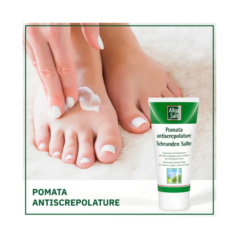 Dr Theiss Allga San Pomata anti-screpolature 90 ml