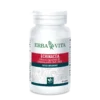 Echinacea 60 Capsule Vegetali