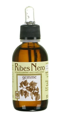 Ecol Ribes Nero Gemme Estratto Analcolico 50ml