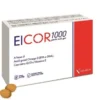 EICOR 1000