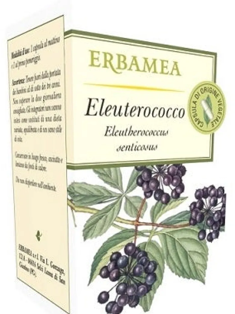 ELEUTEROCOCCO OPERCOLI