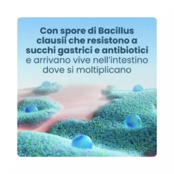 Enterogermina 2 Miliardi Fermenti Lattici Probiotici per Disturbi Intestinali 10 Fiale