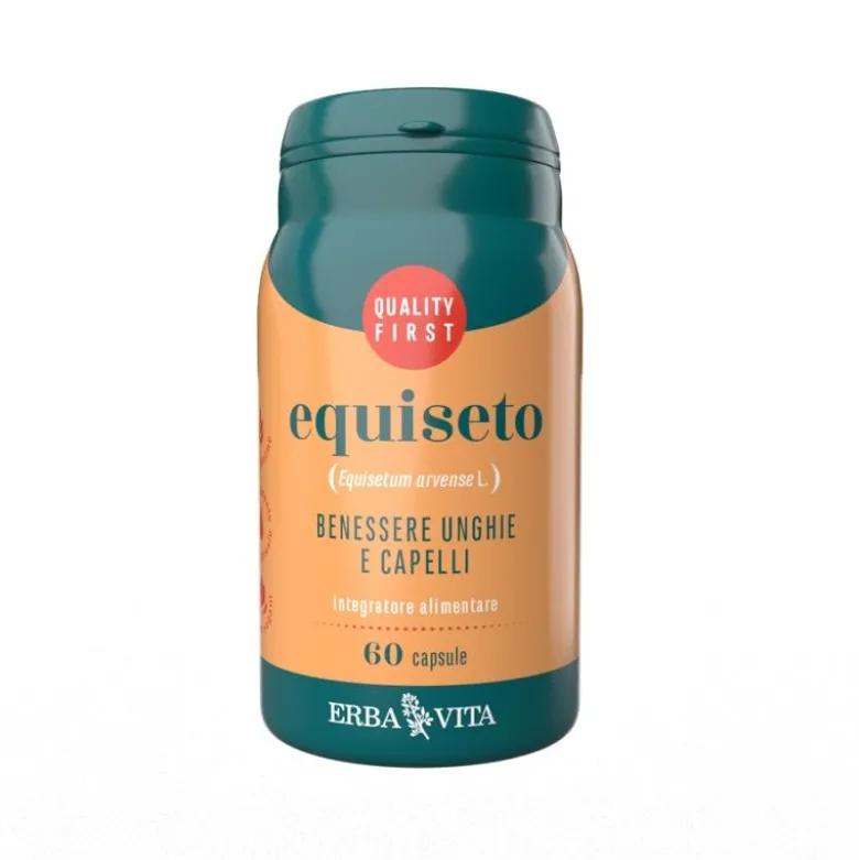 Equiseto