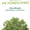 Erba Vita Tè Nilo Taglio Filtro 100g