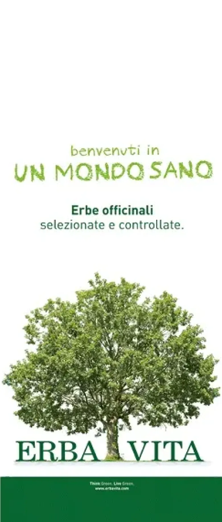 Erba Vita Tè Nilo Taglio Filtro 100g