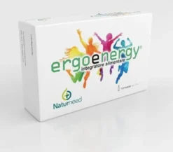 ergoenergy