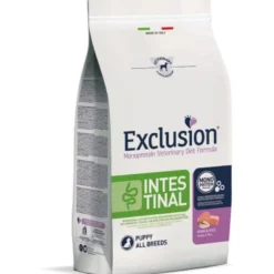 Exclusion Intestinal