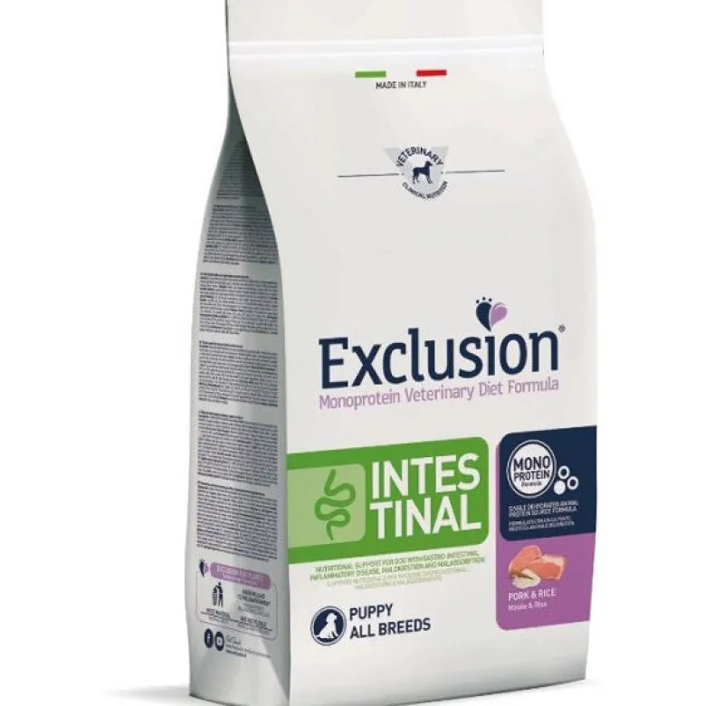 Exclusion Intestinal