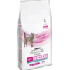 Feline UR StOx Urinary