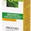FINOCCHIO