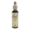 Fiori di Bach Center Olive 20ml