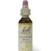 Fiori di Bach n.07 Chestnut Bud gemma di ippocastano 20ml