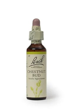 Fiori di Bach n.07 Chestnut Bud gemma di ippocastano 20ml