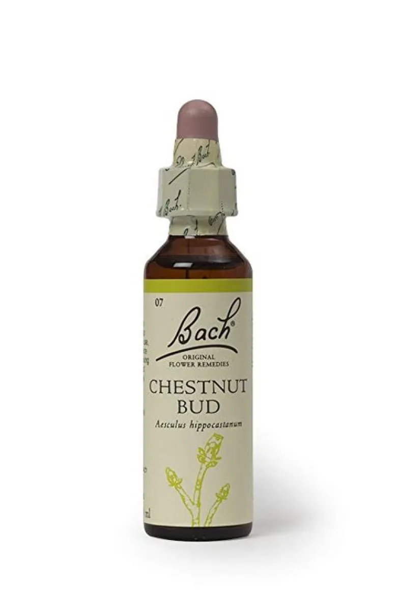 Fiori di Bach n.07 Chestnut Bud gemma di ippocastano 20ml