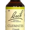Fiori di Bach n.09 Clematis clematide 20ml
