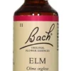 Fiori di Bach n.11 ELM olmo inglese 20ml