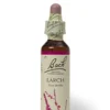 Fiori di Bach n.19 Larch larice 20ml