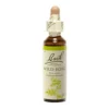 Fiori di Bach n.37 Wild Rose rosa canina 20ml