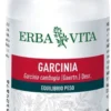 Garcinia Cambogia 60 Capsule 400 mg