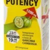 GARCINIA POTENCY 1200 DY 60CPR