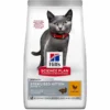 Gattini sterilizzati e per femmine in gravidanza o allattamento.