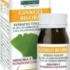 GINKGO BILOBA