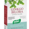 GINKGO BILOBA GINKGO BILOBA