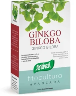 GINKGO BILOBA GINKGO BILOBA