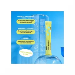 Goovi Taste Drain & Go Drenante Zenzero e Lime 24 Stick