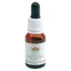 Green Remedies Black Eyed Susan favorisce il rilassamento e la pazienza gocce 15ml