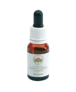 Green Remedies Boronia contro i pensieri ossessivi e l'insonnia 15ml