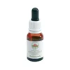 Green Remedies Bottlebrush aiuta ad accettare i cambiamenti della vita 15ml