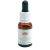 Green Remedies Bush Fuchsia essenza che aiuta a migliorare le capacità intuitive 15ml