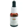 Green Remedies Pink Flannel FLW Australian Bush 15ml