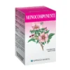 Guaranà 80 Capsule