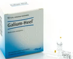 Guna Galium-Heel medicinale omeopatico 10 fiale