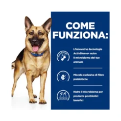Hill's Prescription Diet Gastrointestinal Biome Crocchette Pollo Cani Sacco 1,5kg
