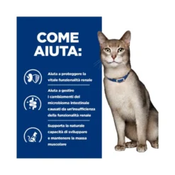 Hill's Prescription Diet K/d Alimento Per Gatti Con Pollo 3kg
