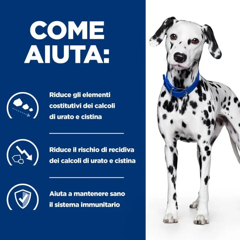 Hill's Prescription Diet U/D Urinary Care Alimento Umido per Cani 370g