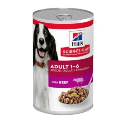 Hill's Science Plan Umido Cane Manzo Lattina 370g
