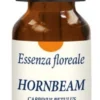 HORNBEAM