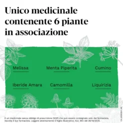 Iberogastadvance Gocce Orali Liquido 1 Flacone in Vetro da 50 ml con Applicatore Contagocce