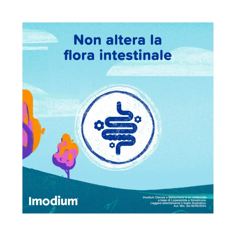 Imodium Diarrea e Meteorismo 12 Compresse