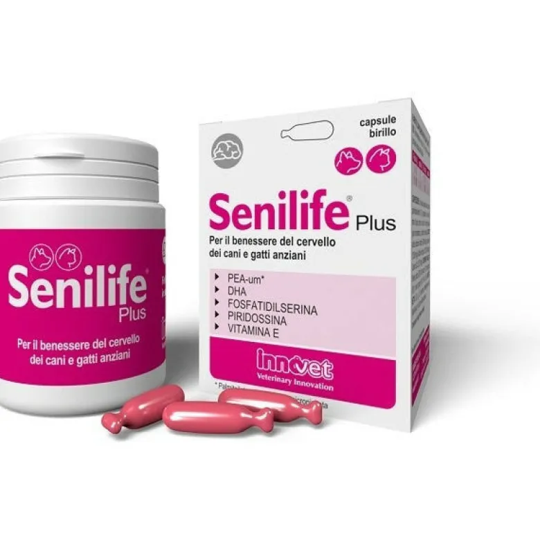 Innovet Senilife Plus per il benessere del cervello dei cani e gatti anziani 60 capsule