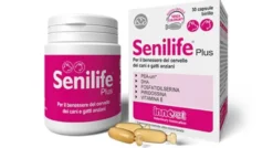 Innovet Senilife Plus per il benessere del cervello dei cani e gatti anziani 60 capsule