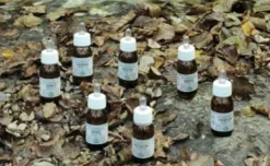 KA11 Oleolito da Massaggio Alchemica Valgelata 30 ml