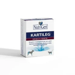 Kartileg Adult