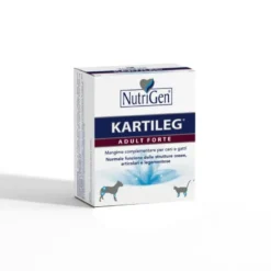Kartileg Adult